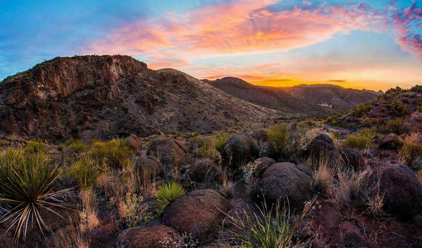 sunset, add, place, horizon, desert, beautiful, hill, cactus, complain