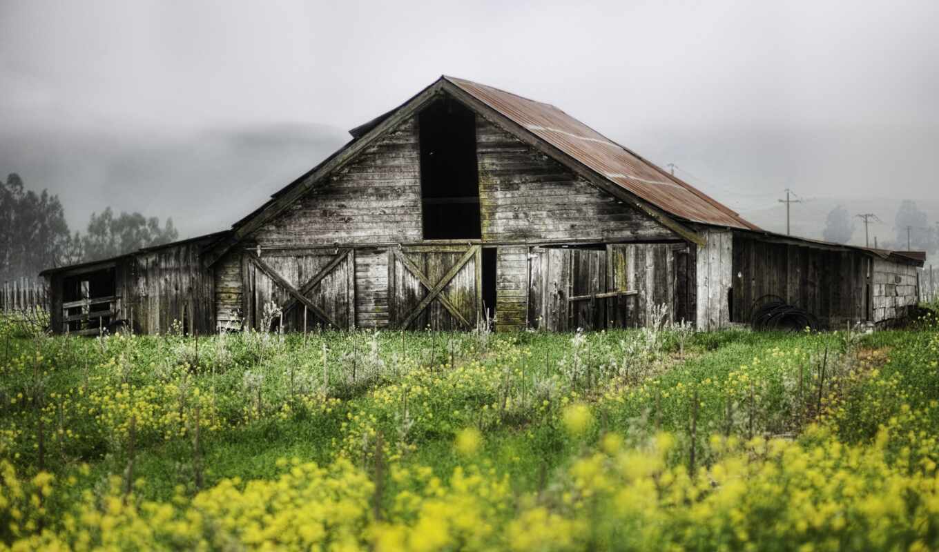 house, abandoned, barn