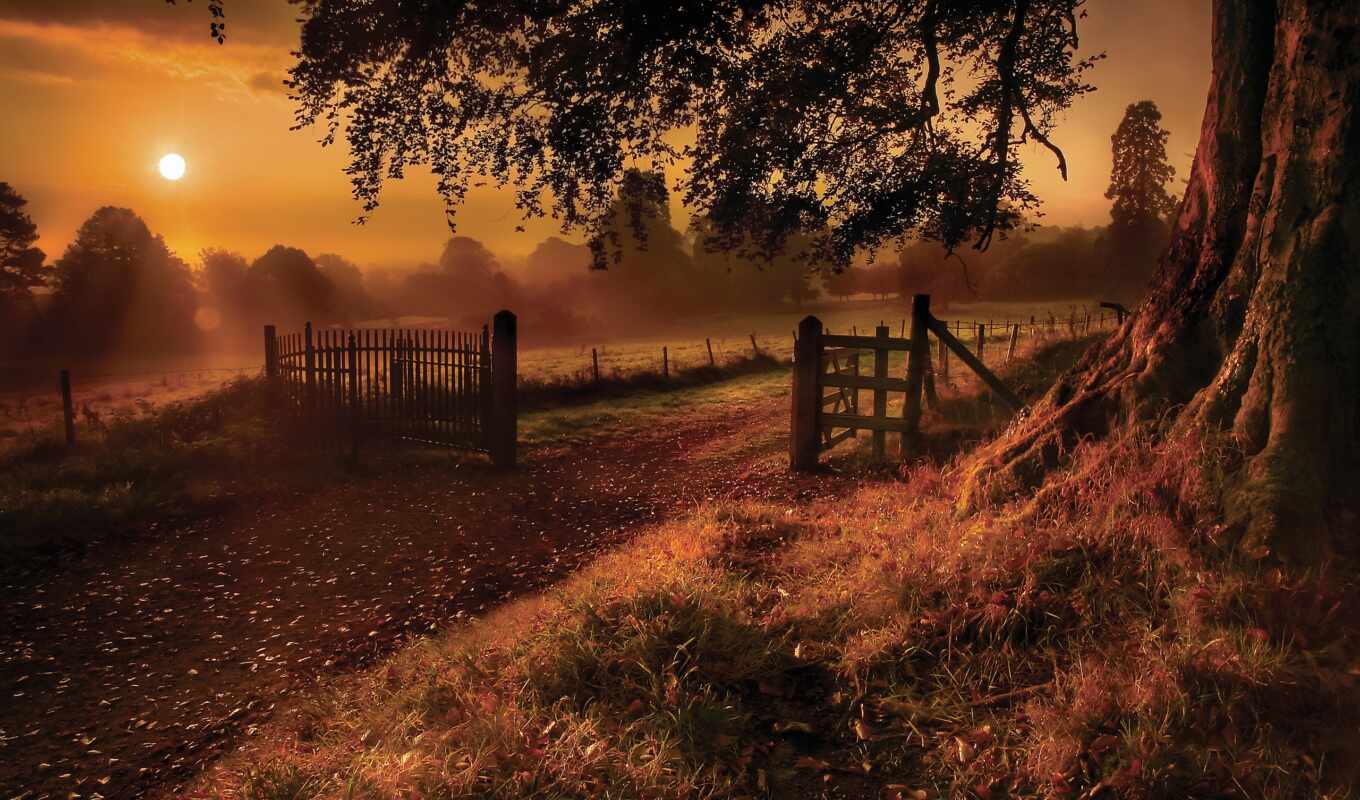 photo, good, night, evening, country, poems, autumn, beautiful, smell