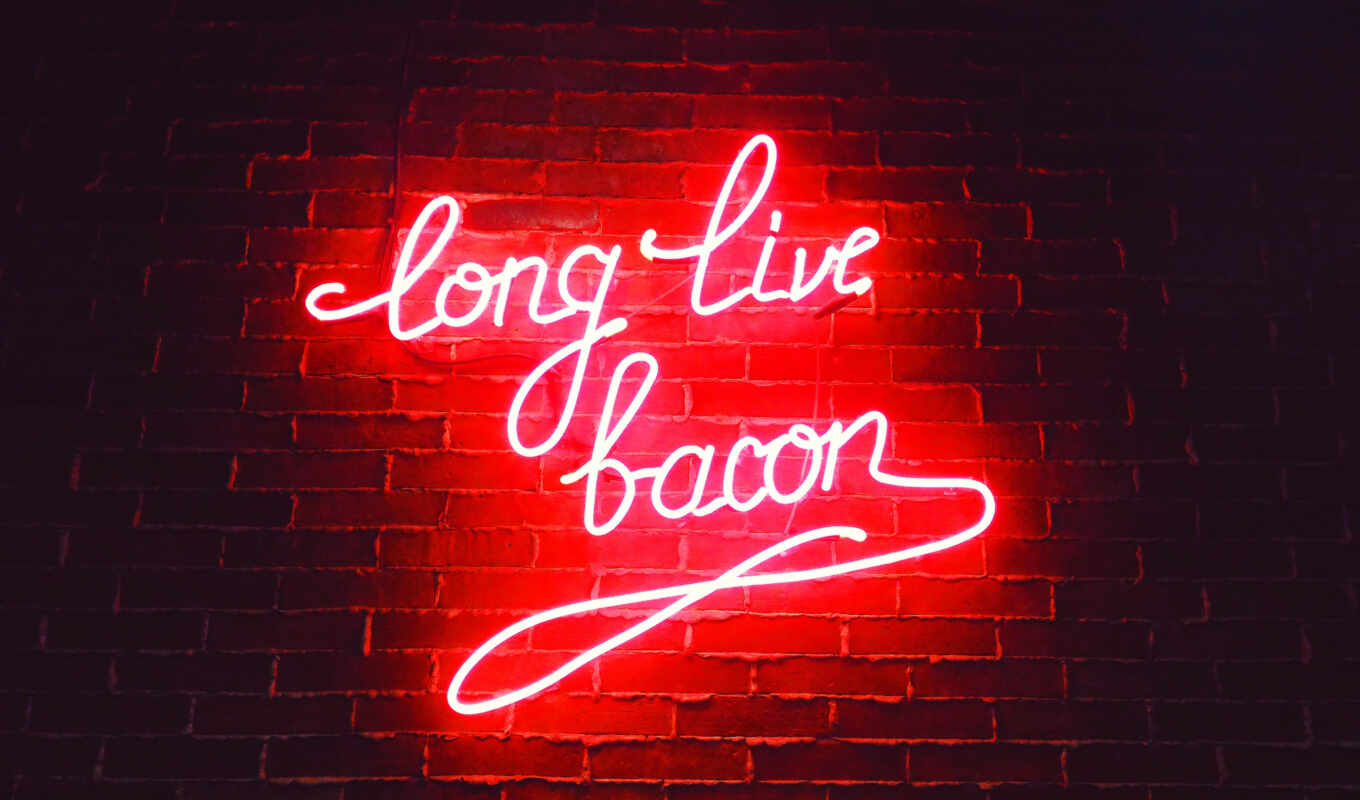 red, огни, live, neon, bacon
