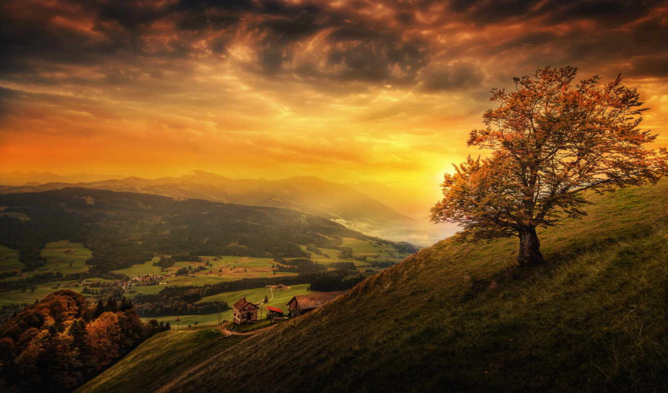 tree, sunset, mountain, see, autumn, hill, Switzerland, gallen, canton, guster
