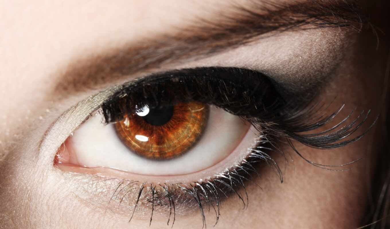view, eye, brown, the eyelash, makeup, lash, makryi