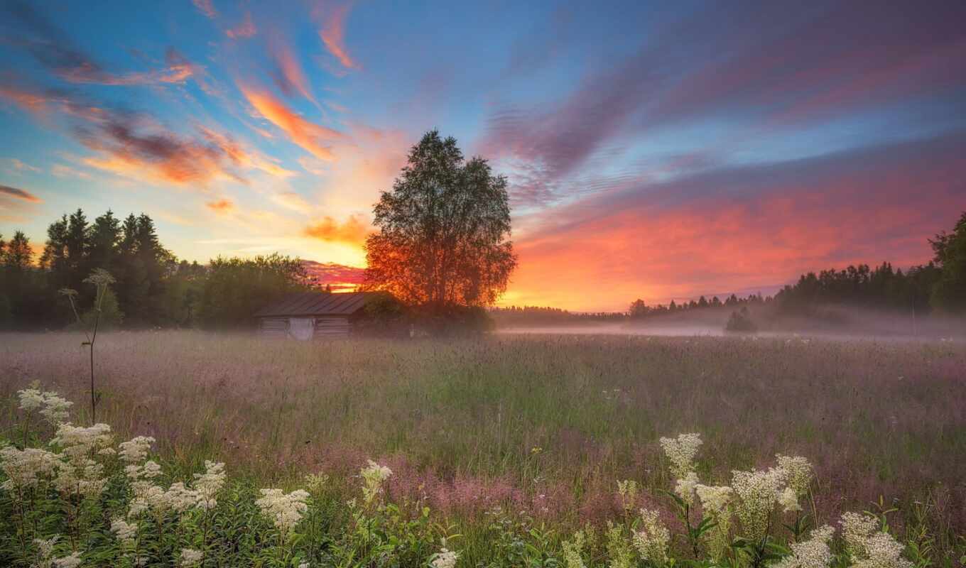 sky, sunset, morning, beautiful, fog, meadow