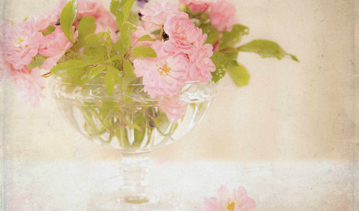 retro, roses, pink, bouquet, vase, flowers, cvety