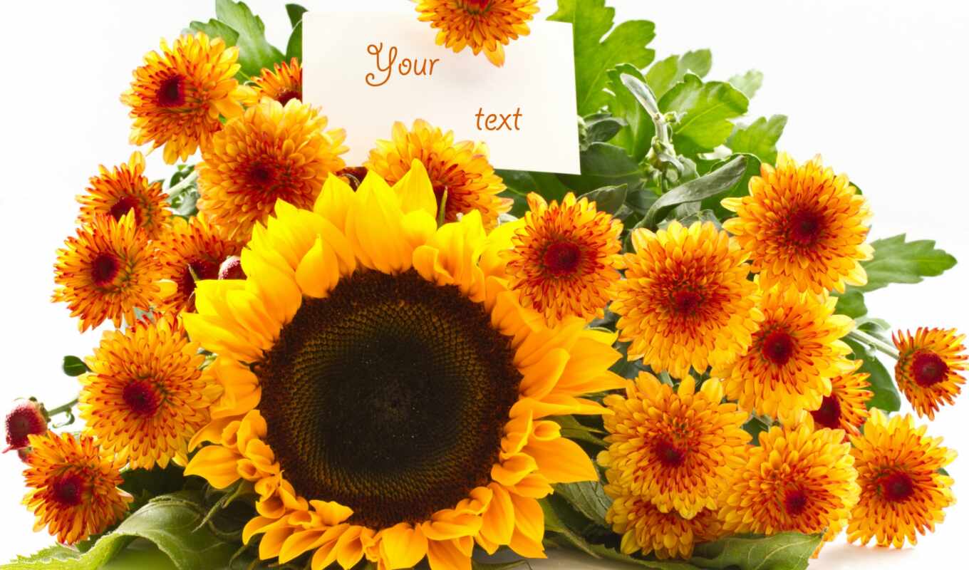 you, sunflower, birth, day, friend, beautiful, mood, postcard, congratulate, dnee