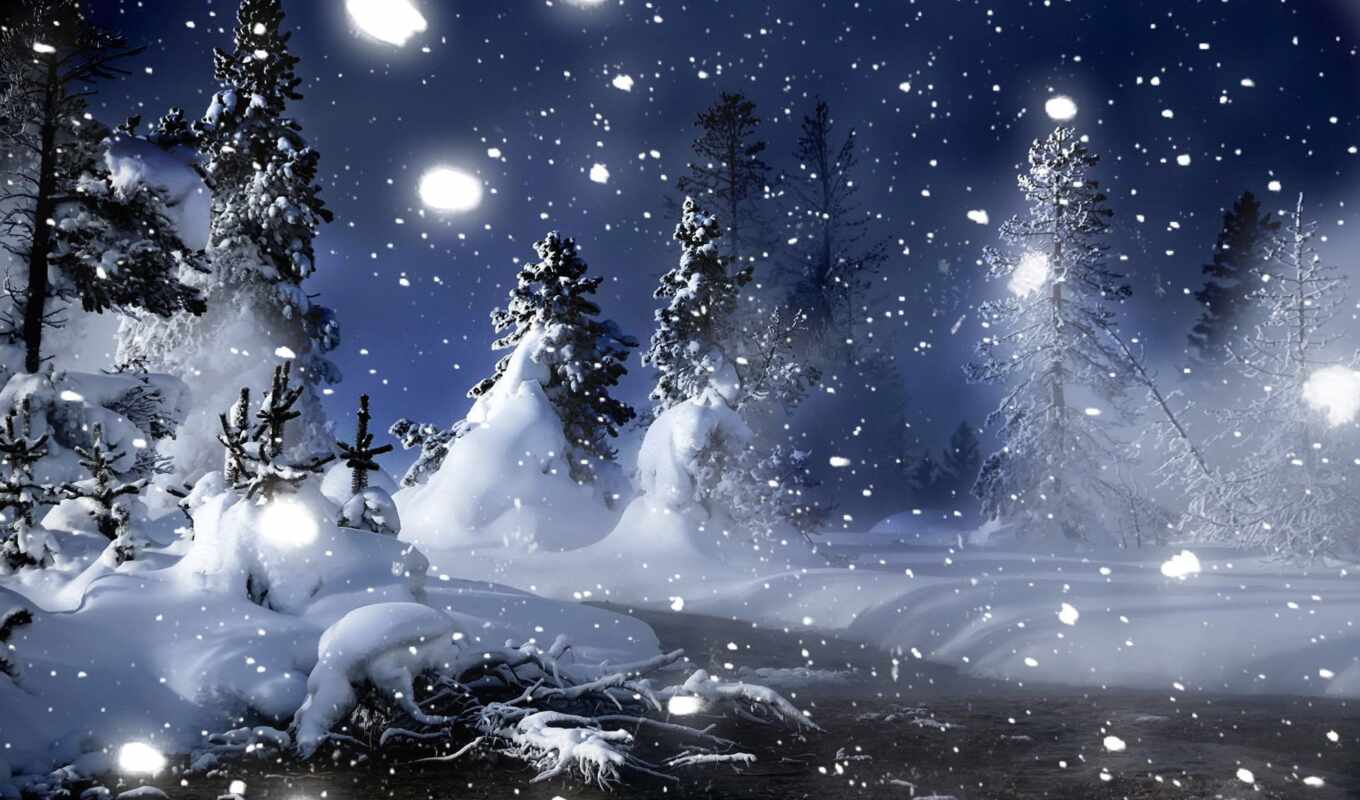 nature, tree, night, moon, snow, winter, forest, deck, christmas tree