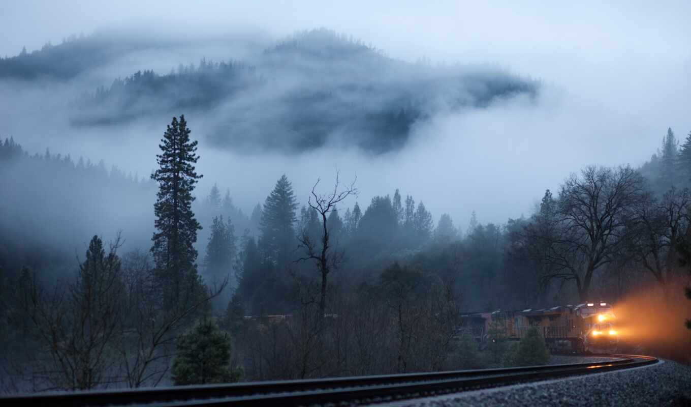 дерево, поезд, туман, дорогой, iron