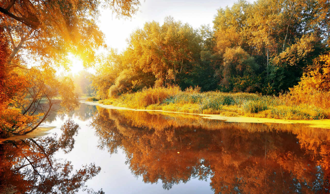 природа, лес, осень, отдых, река, отражение, рыбалка, красиво