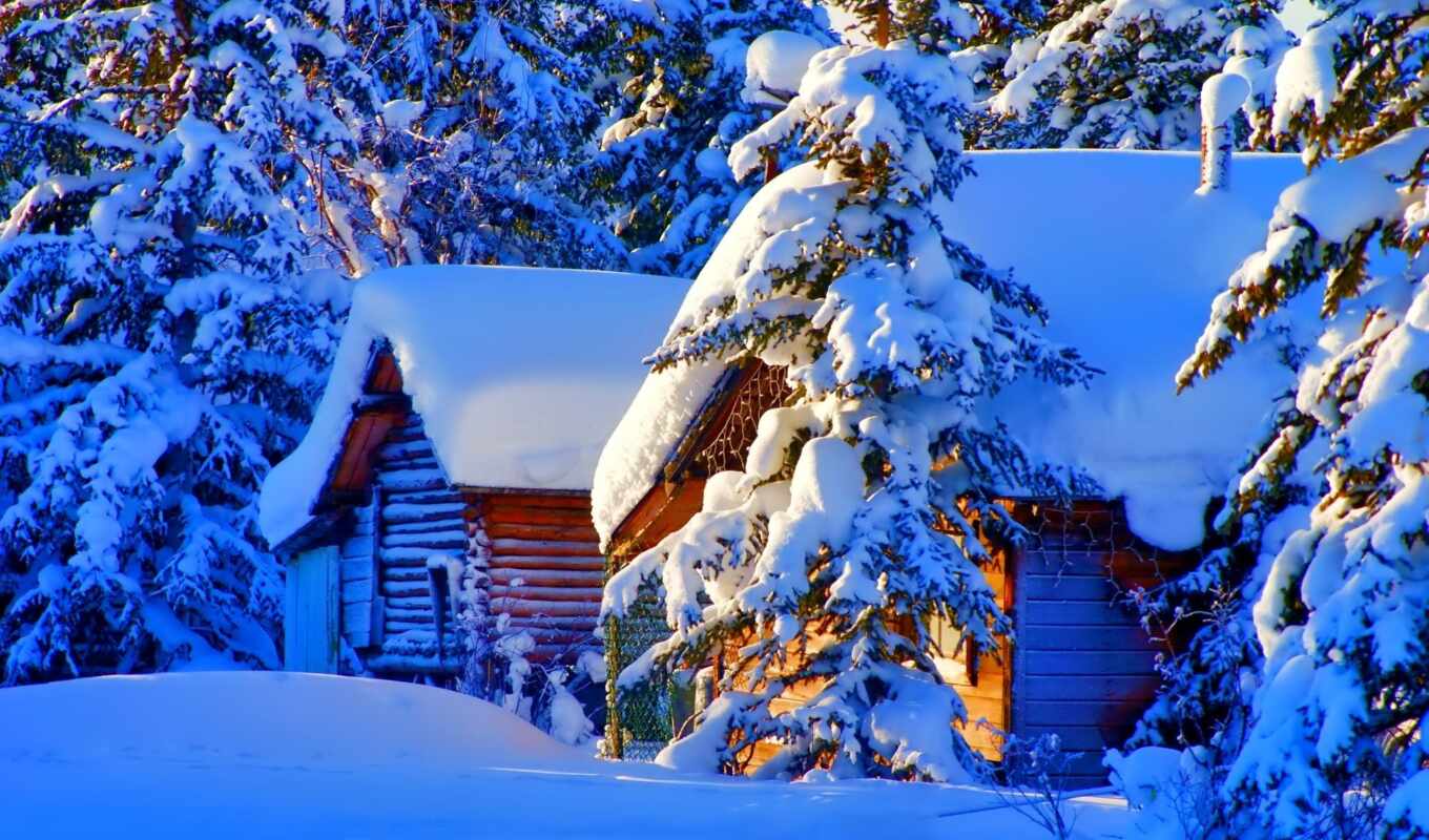природа, house, дома, снег, красивые, winter, лес, lodge, лесу, ёль, зимой