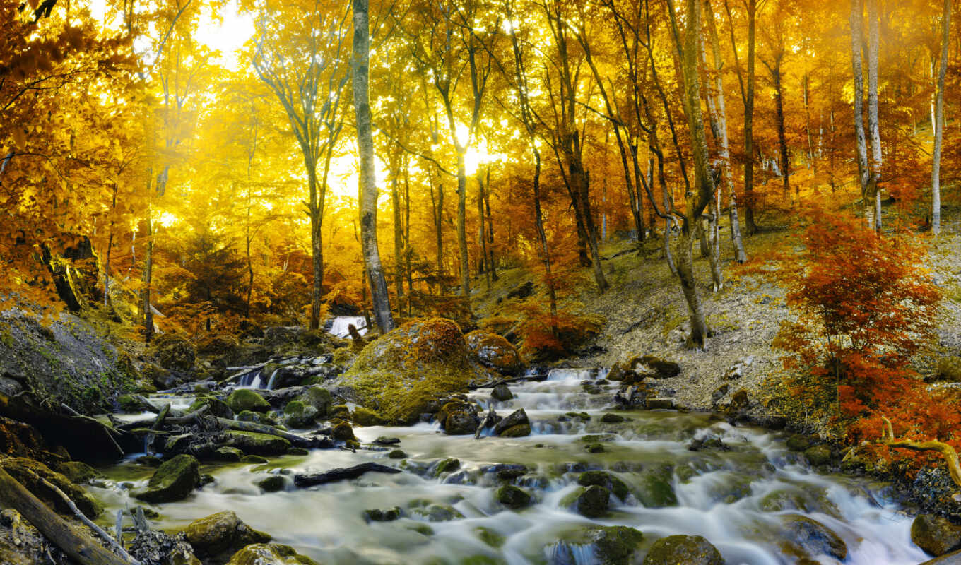 природа, пейзажи -, лес, landscape, осень, водопады, заказать, осінь, наборы, фотообои, струмок