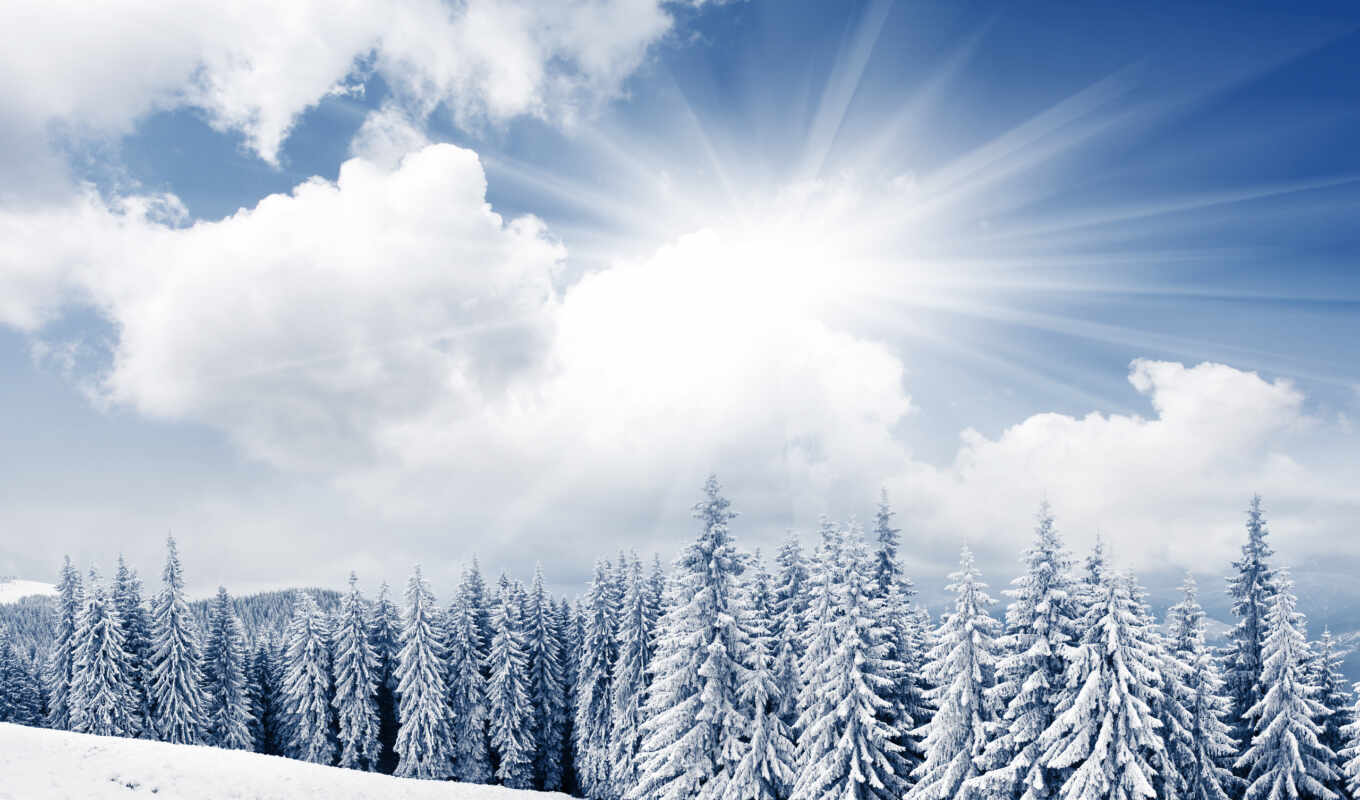 природа, sun, снег, winter, зимняя, фотообои, зимой