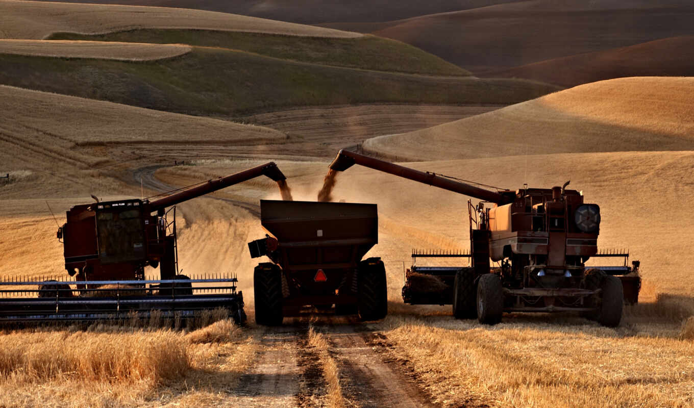 field, ridge, harvest, wheat, palouse, technic, combine harvester, companies