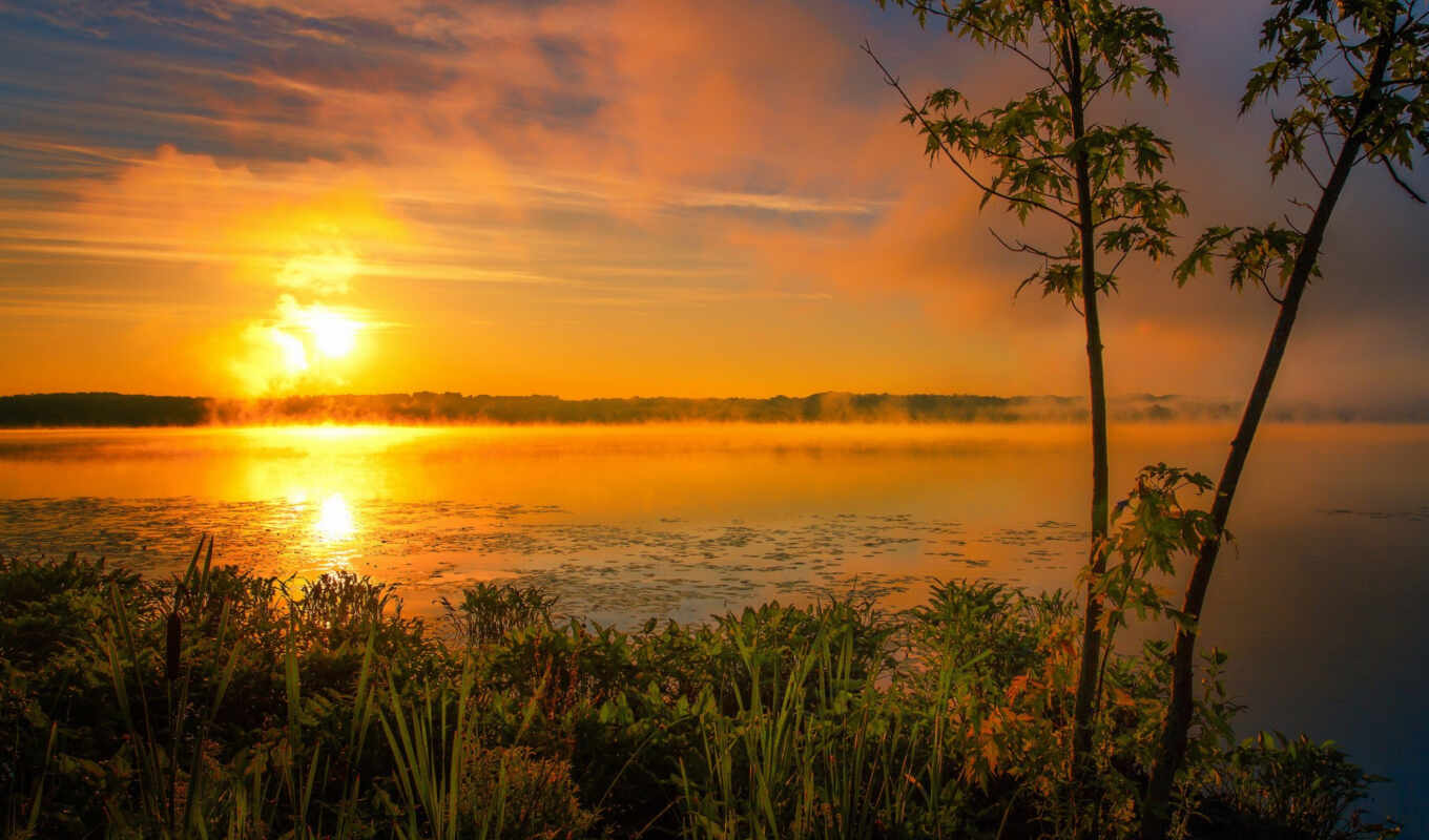 озеро, summer, sun, утро, туман, rising