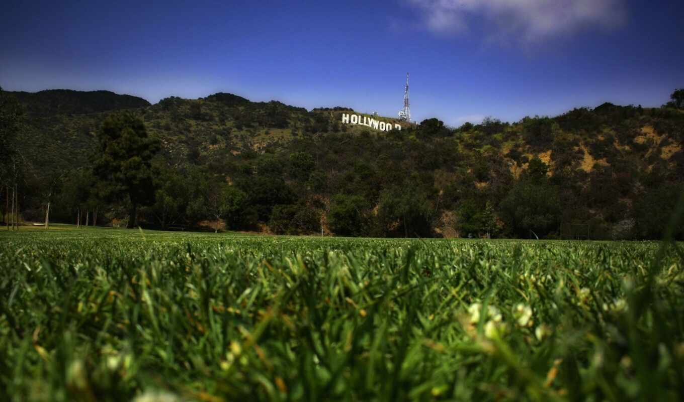 title, grass, around, sign, hollywood, lawn