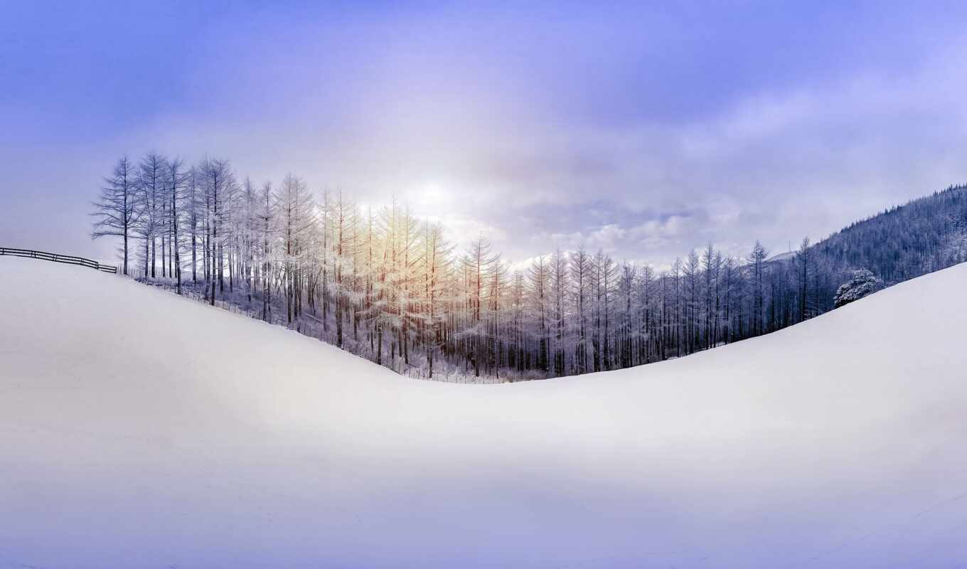 природа, небо, sun, снег, winter, лес, landscape, hill, rays