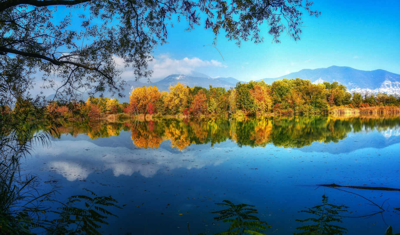 озеро, природа, пульт, дерево, water, april, осень, branch, отражение