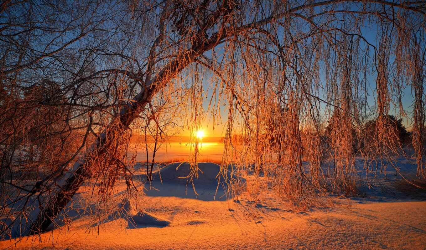 природа, дерево, закат, снег, winter, лес, landscape, красивый