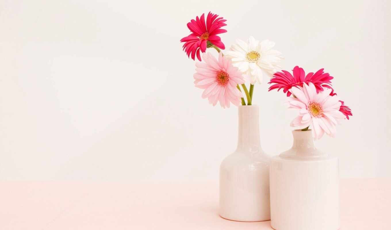 цветы, розовые, букет, ваза, герберы