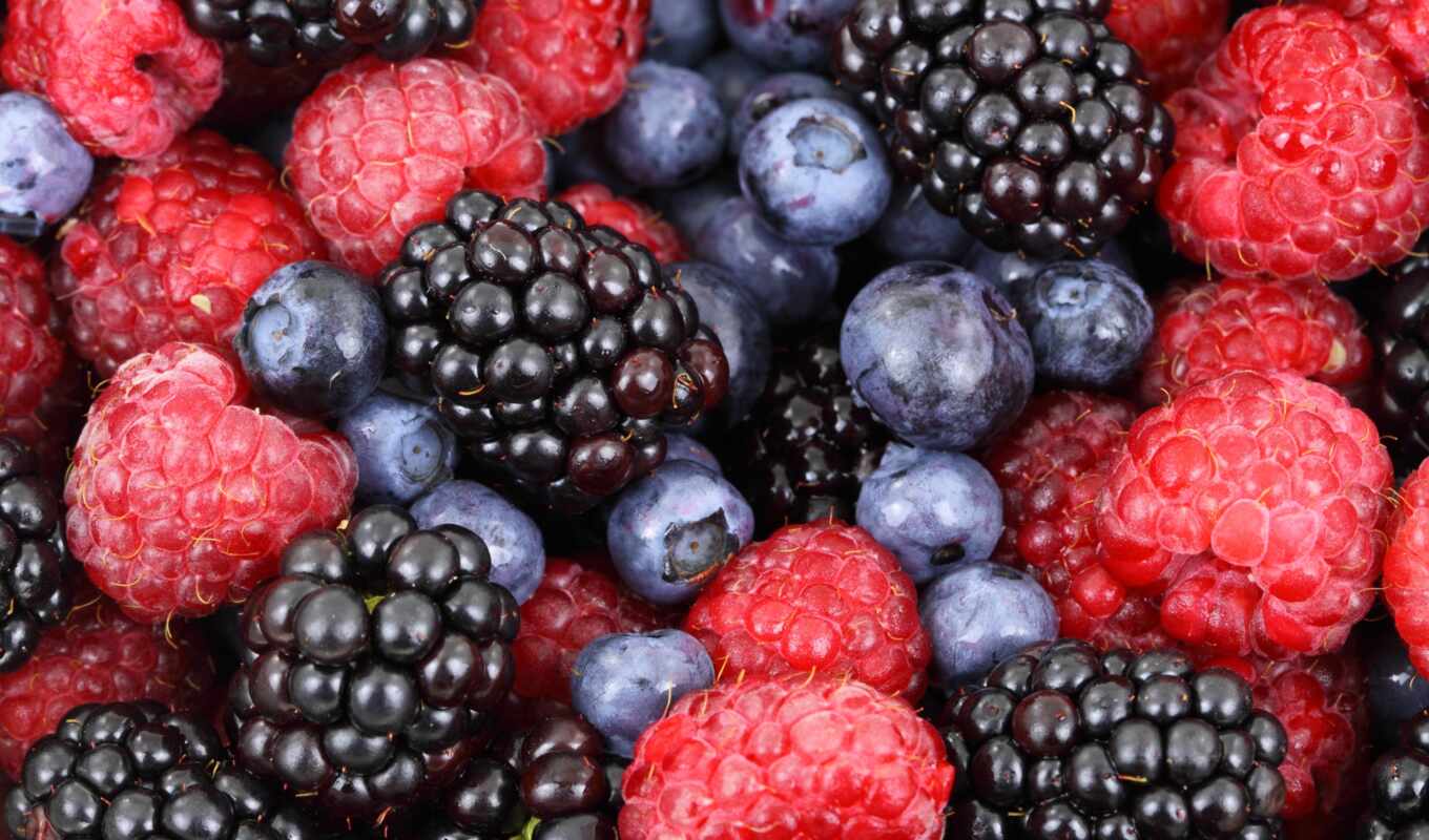 колл, они, который, плод, малина, blackberry, many, ягода, could, черника, meal