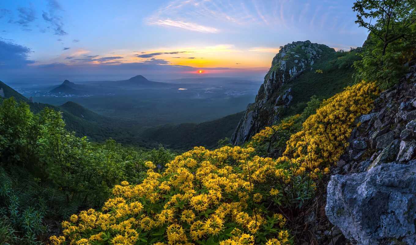 flowers, sunrise, mountain, landscape, caucasian