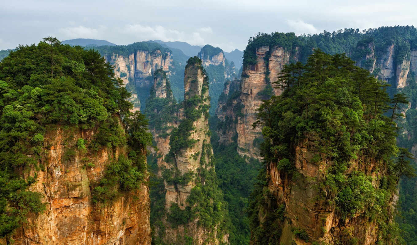 природа, дерево, гора, park, обрыв, природный заповедник, горные формы, откос, лифт, гор, zhangjiajie national