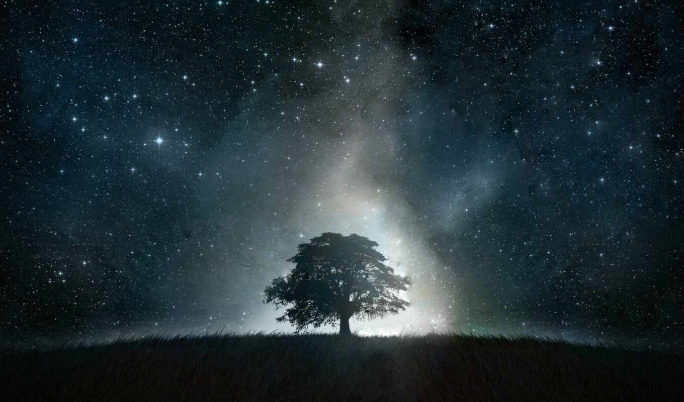 дерево, ночь, landscape, star