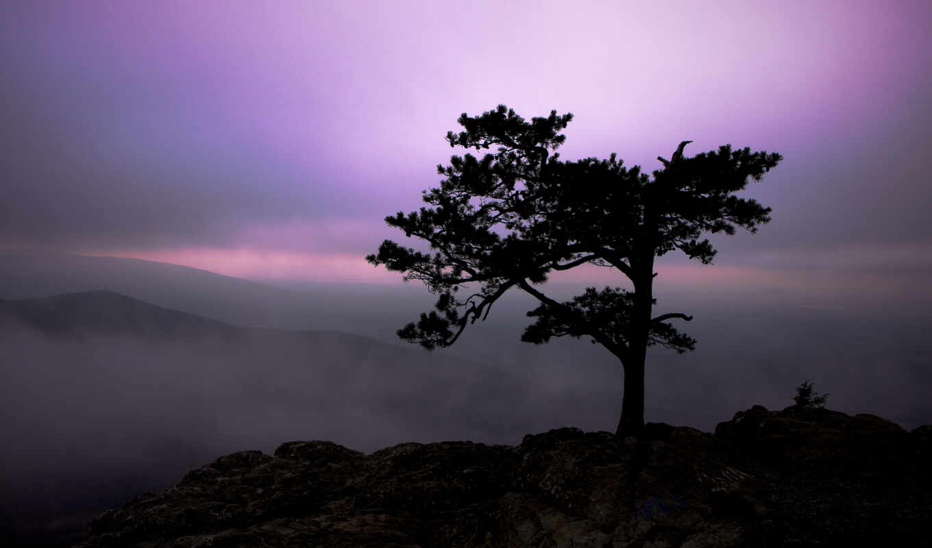 nature, sky, light, tree, landscape, twilight, fog, stones, mountains