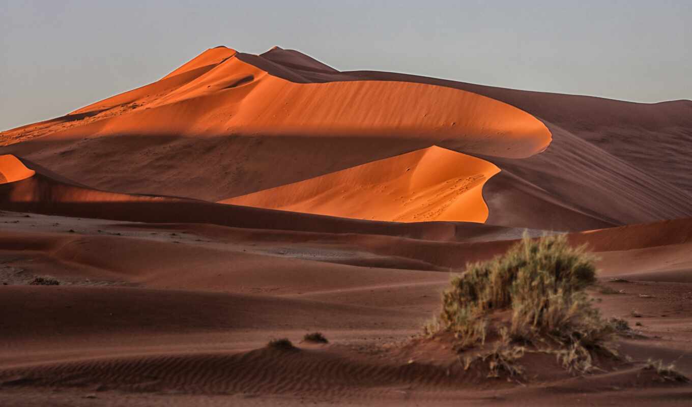 the original, your, desert, dune, dune