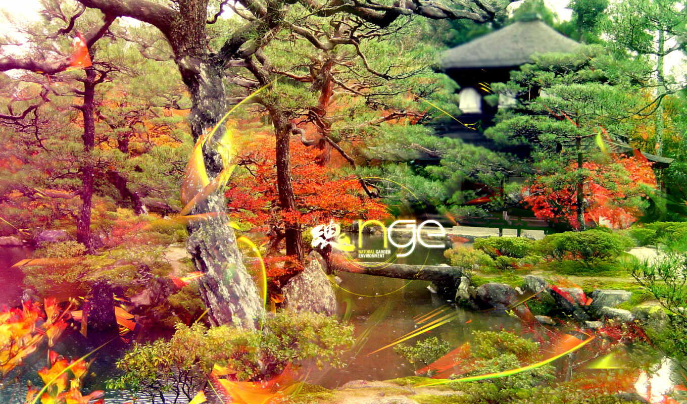 garden, paysage, jardin, japonais