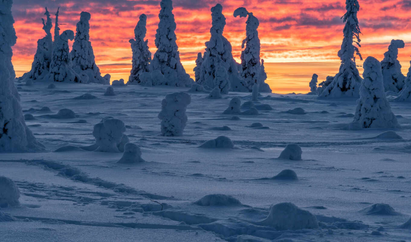 sunset, snow, winter, Finland