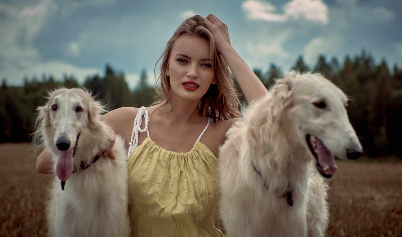 girl, russian, blonde, dog, two, hunt, notice