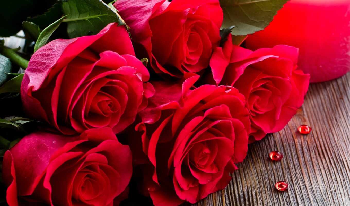 flowers, picture, red, beautiful, heart, roses, many