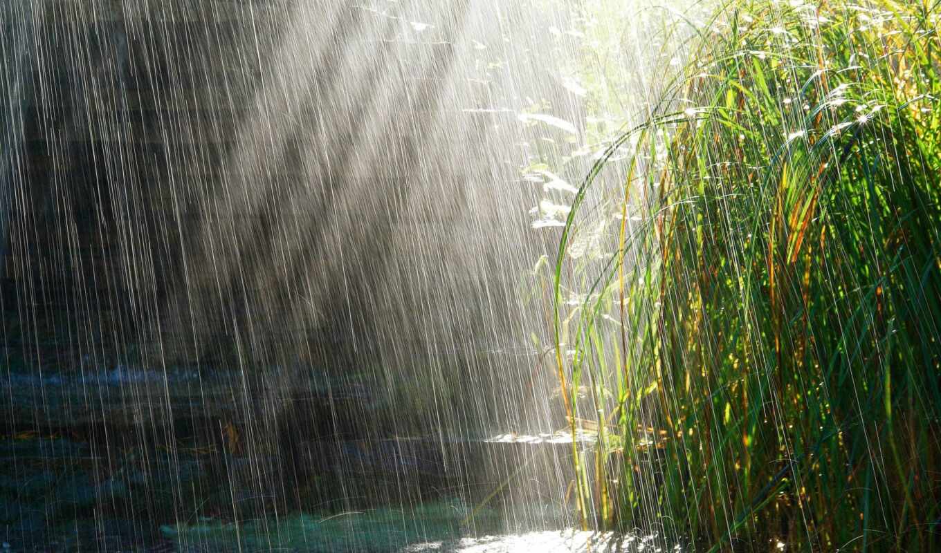 есть, широкоформатные, sun, дождь, трава, сол, всех, тег, которых, chuva