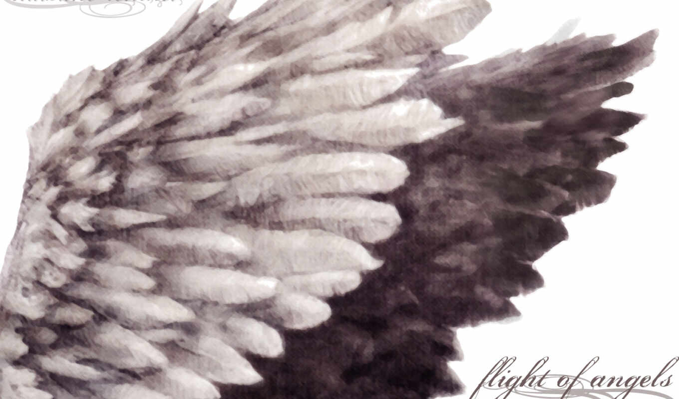 схема, крыльев, she, preview, вышивки, ангела, крестом, ни, крылья, схемы