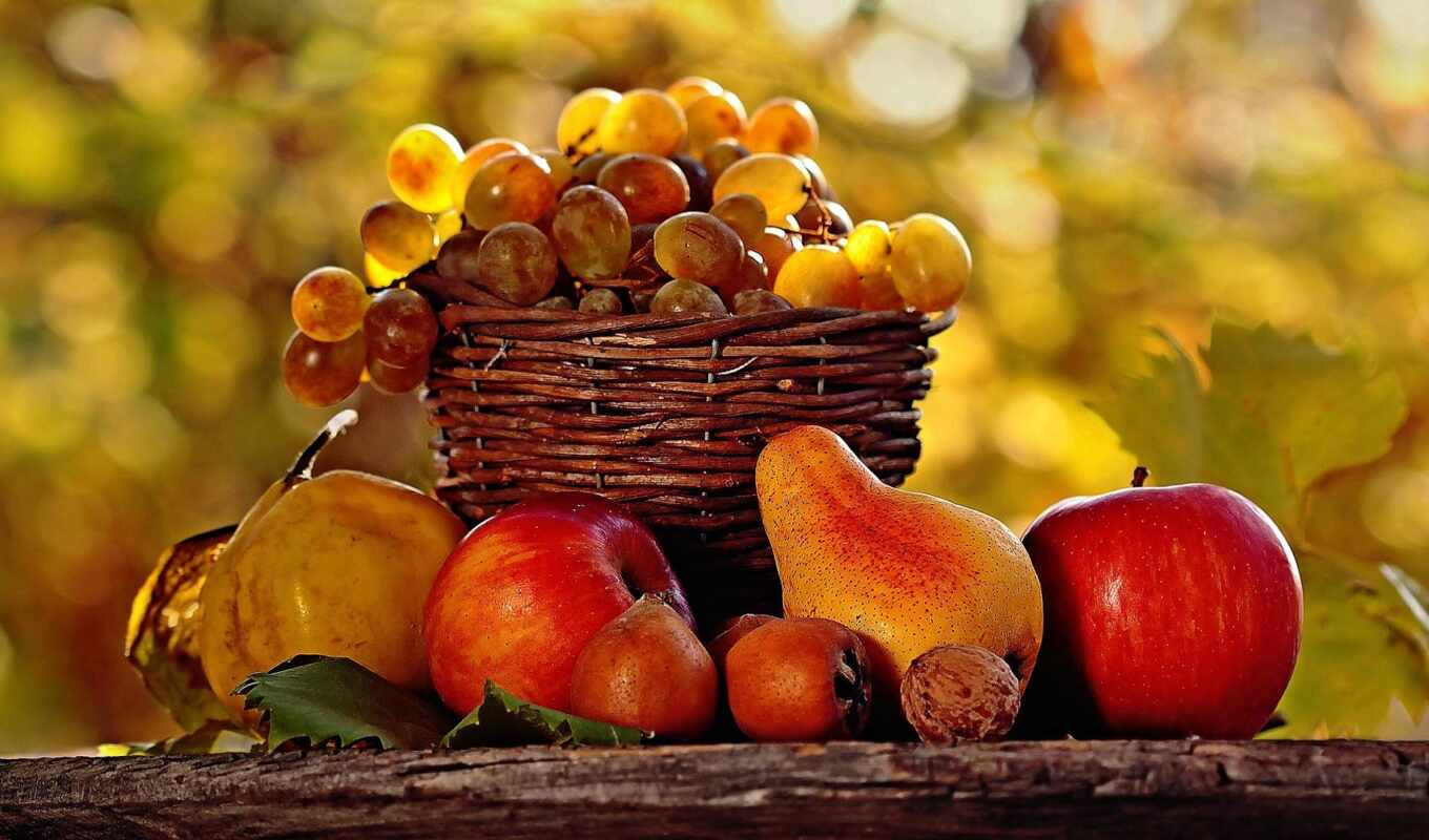 apple, heart, autumn, gift, life