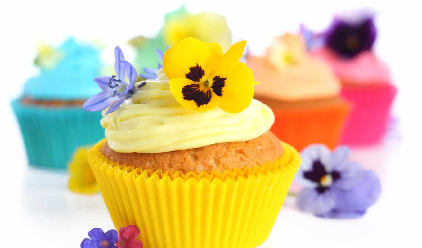 flowers, meal, ice cream, cupcake, cake, wallpaper cakes