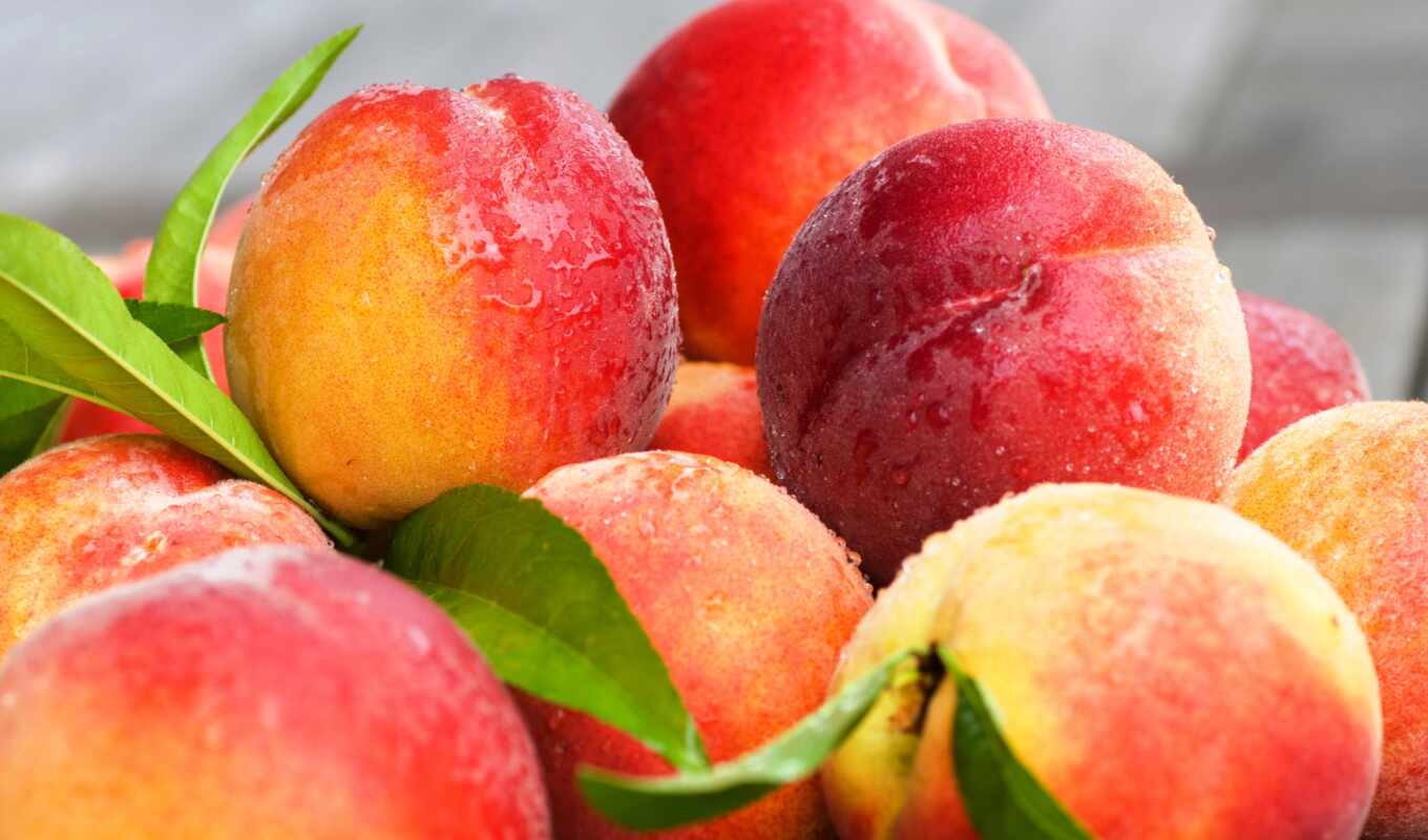 peach, fetus, beautiful, nectarine