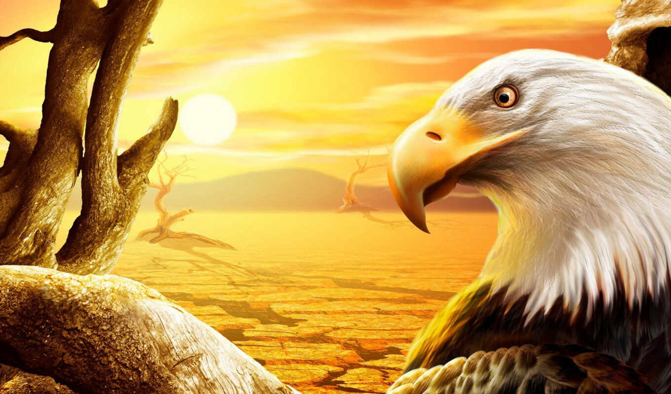 USA, eagle, whitehead, orlan, painted