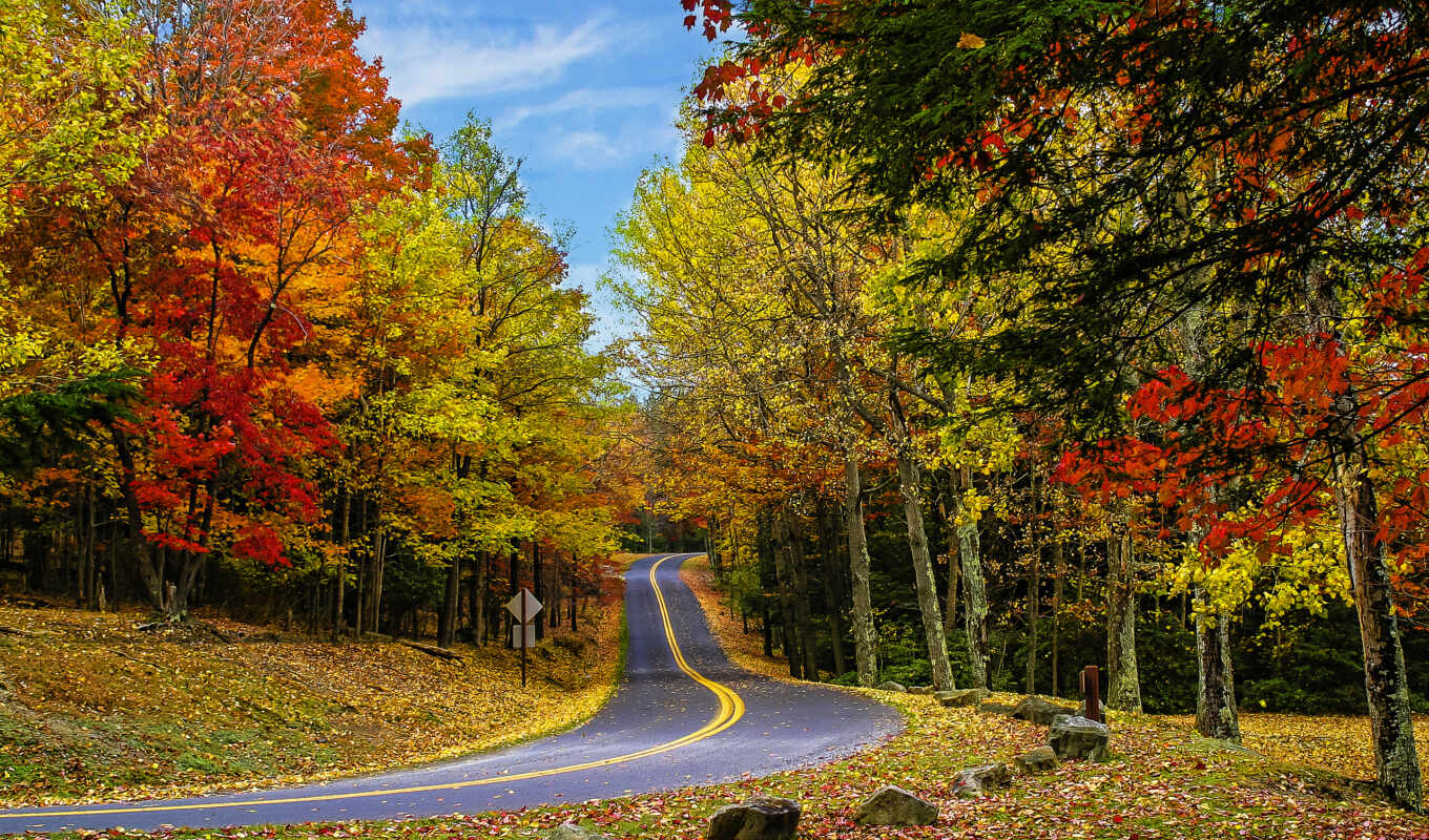 дорога, country, осень, пасть, trees, landscapes, chrome, roads