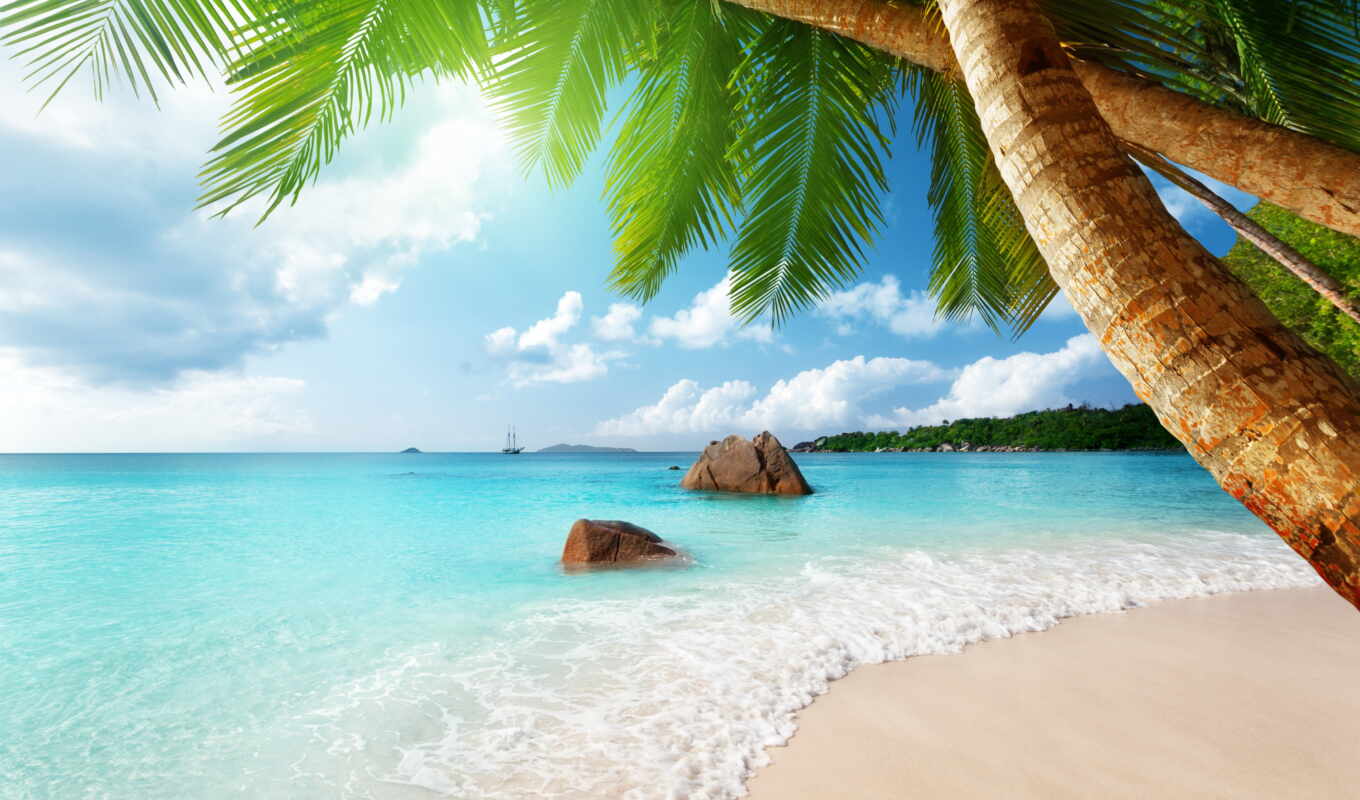 sun, beach, sea, coast, sand, palm trees, ocean, tropics, photo wallpapers