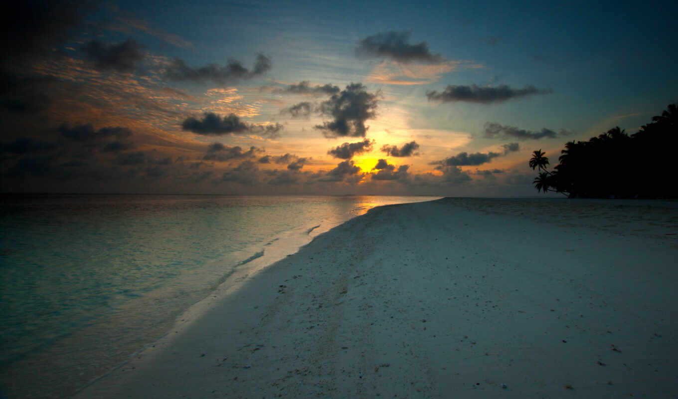 sunset, beach, evening, sea, coast, sand, branch, palm, panorama