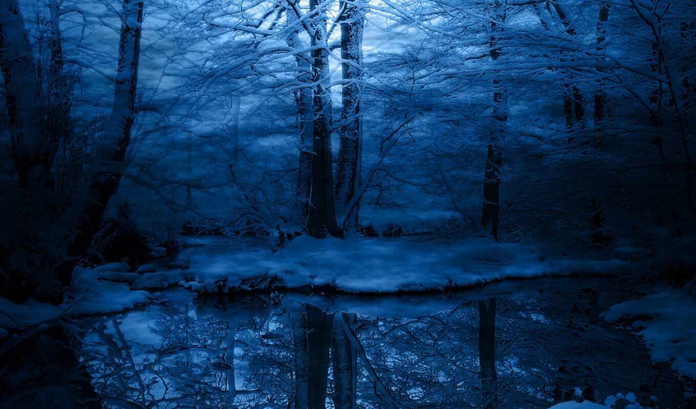 природа, иней, ночь, winter, лес, лесу, зимняя