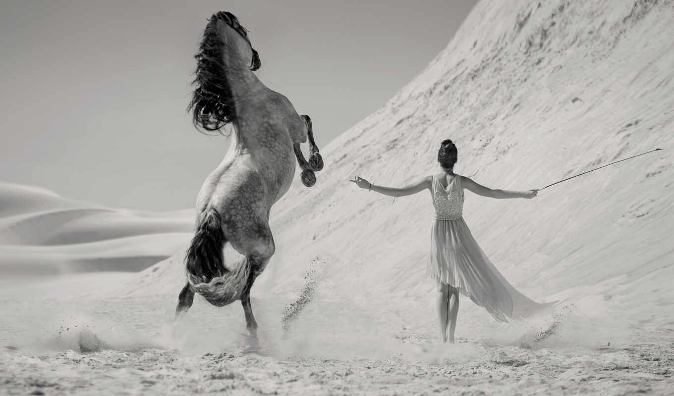 photo, girl, horse, desert, among, drawing
