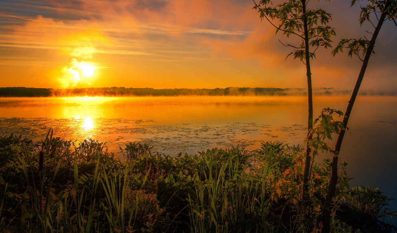 lake, summer, picture, sun, morning, fog, rising