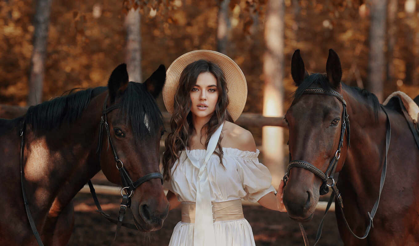 фото, лошадь, модель, portrait, осень, два