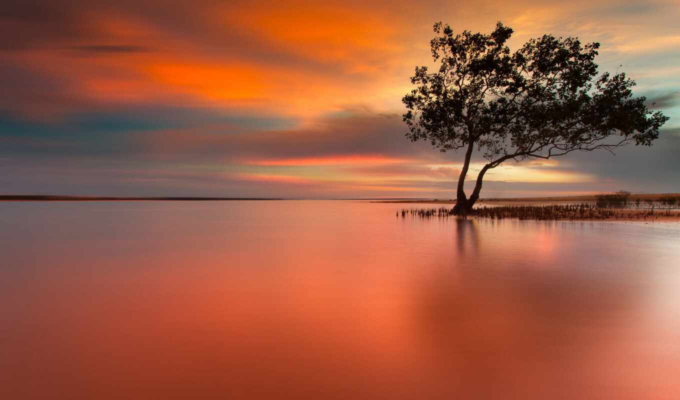 озеро, природа, дерево, закат, одинокий, peaceful, scene