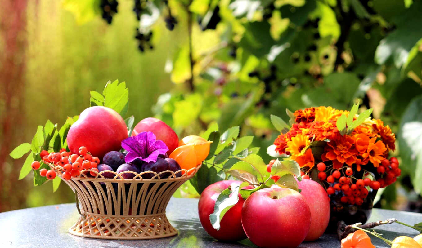 flowers, meal, foliage, basket, apples, fruits, ashberry, still-life, plums