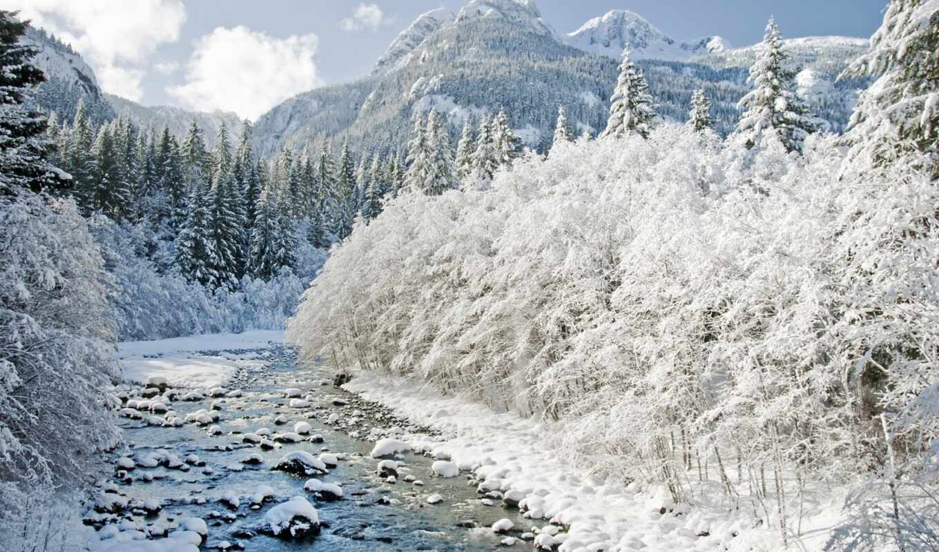nature, sky, winter, forest, river, trees, mountains