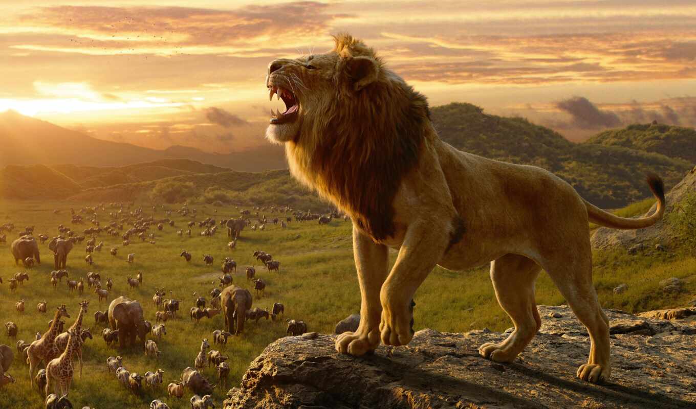 movie, lion, king, disney