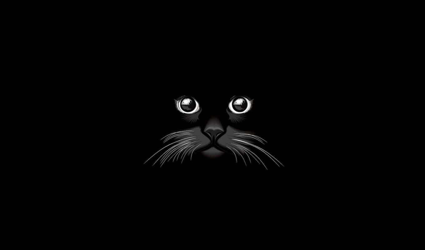 black, graphics, vector, eye, cat, bow, darkness, fran